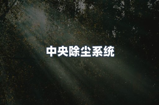 中央除尘系统