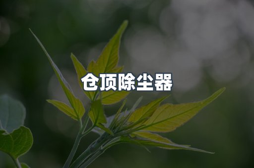 仓顶除尘器