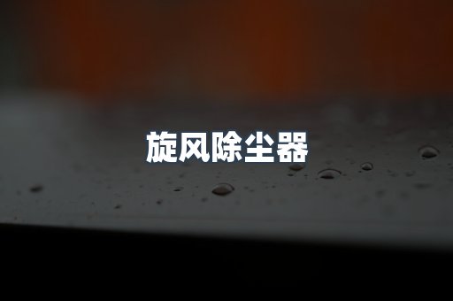 旋风除尘器
